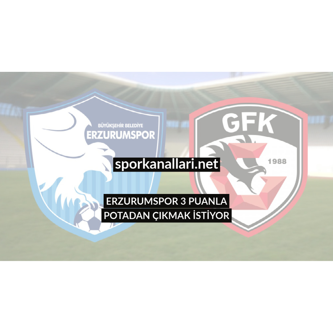 ERZURUMSPOR 3 PUANLA POTADAN ÇIKMAK İSTİYOR
