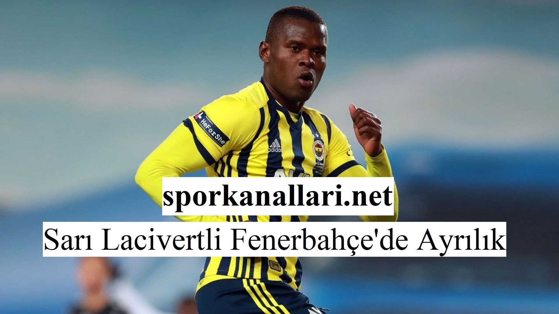 Sarı Lacivertli Fenerbahçe ’de Ayrılık